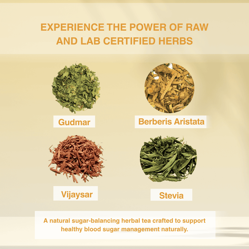 Diabetes Control Herbal Tea | Ayurvedic Sugar Balance Tea with Gudmar & Vijaysar